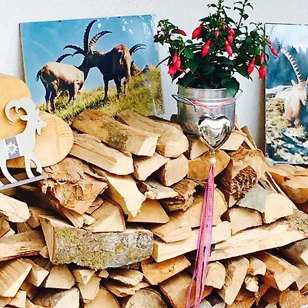 Steinbock Fischen im Allgaeu